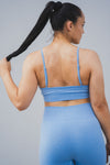 Sundae Sports Bra - Blueberry